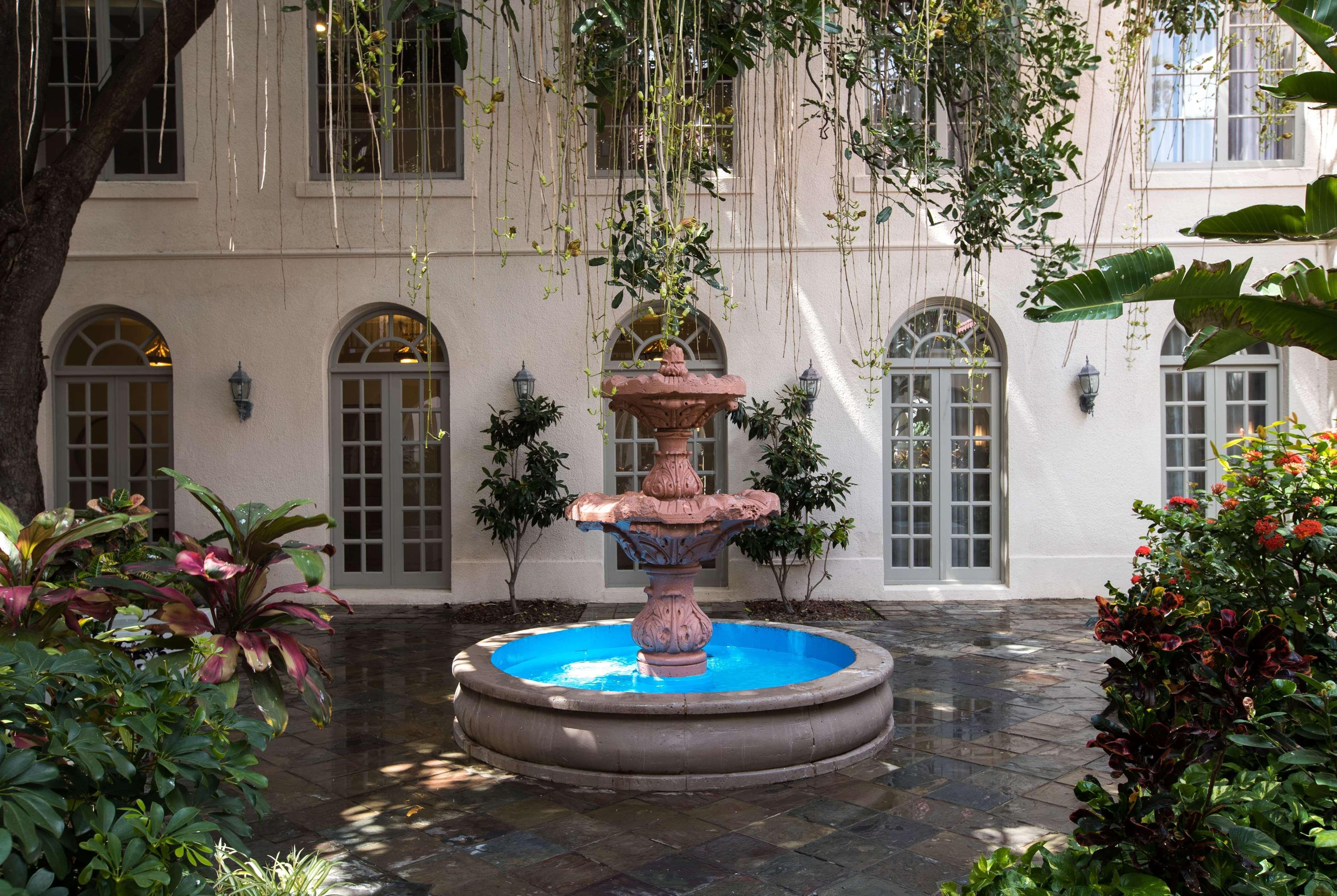 Casa De Palmas, Trademark Collection By Wyndham